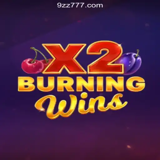 Exploring the Thrilling World of BurningWinsX2 Slots